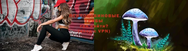 стаф Белокуриха