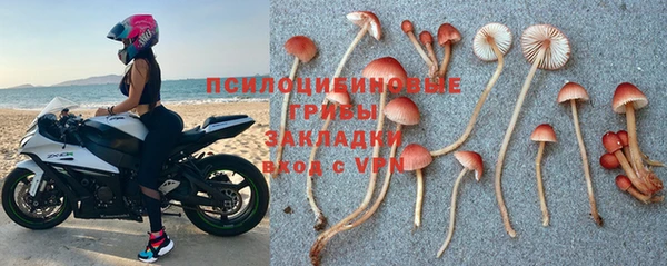 дмт Бронницы